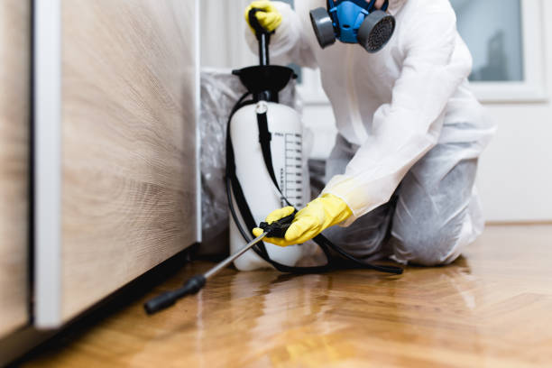 Best Pest Removal Services  in Cambridge, IL