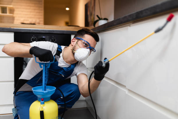 Best Cockroach Control Services  in Cambridge, IL