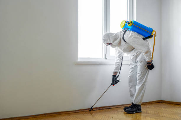 Best Rat Extermination Near Me  in Cambridge, IL
