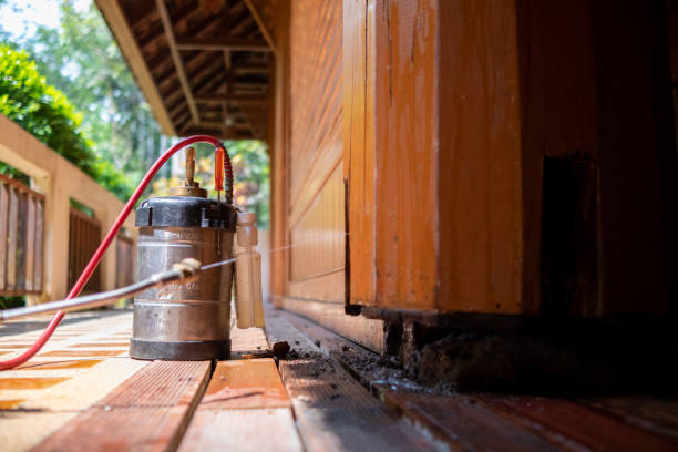 Pest Control Cost in Cambridge, IL