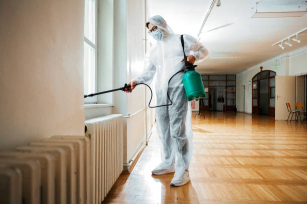 Best Insect Control  in Cambridge, IL