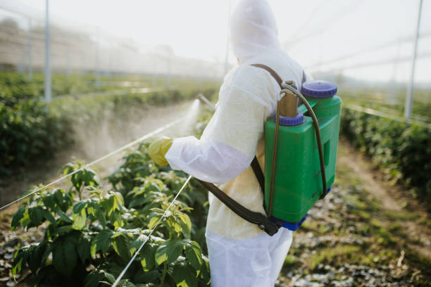 Professional Pest Control in Cambridge, IL